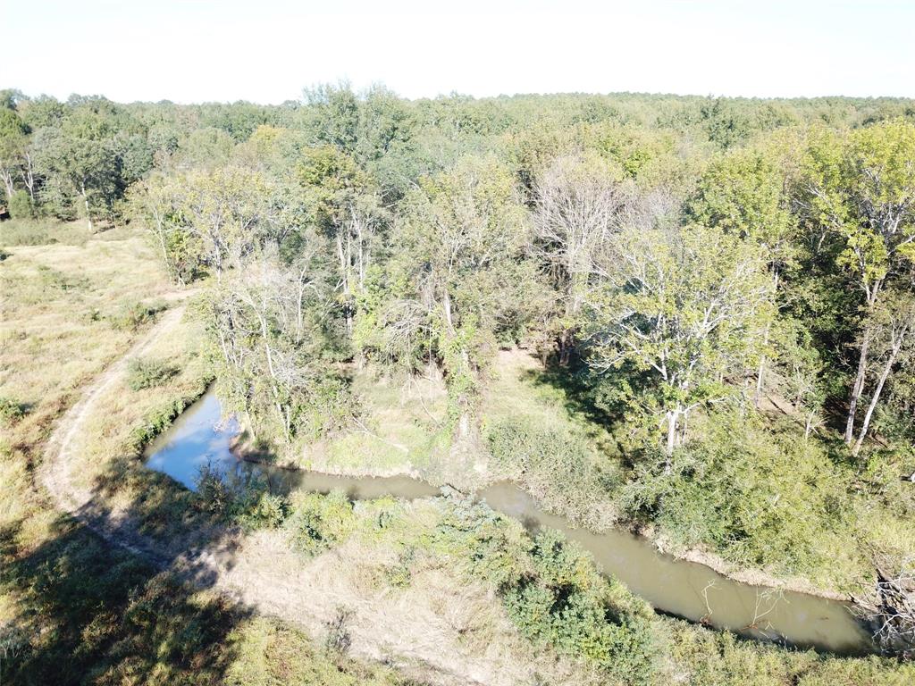 9795 Highway 59 Property Photo 36