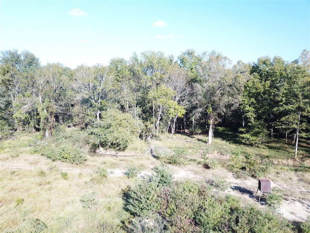 9795 Highway 59 Property Photo 37