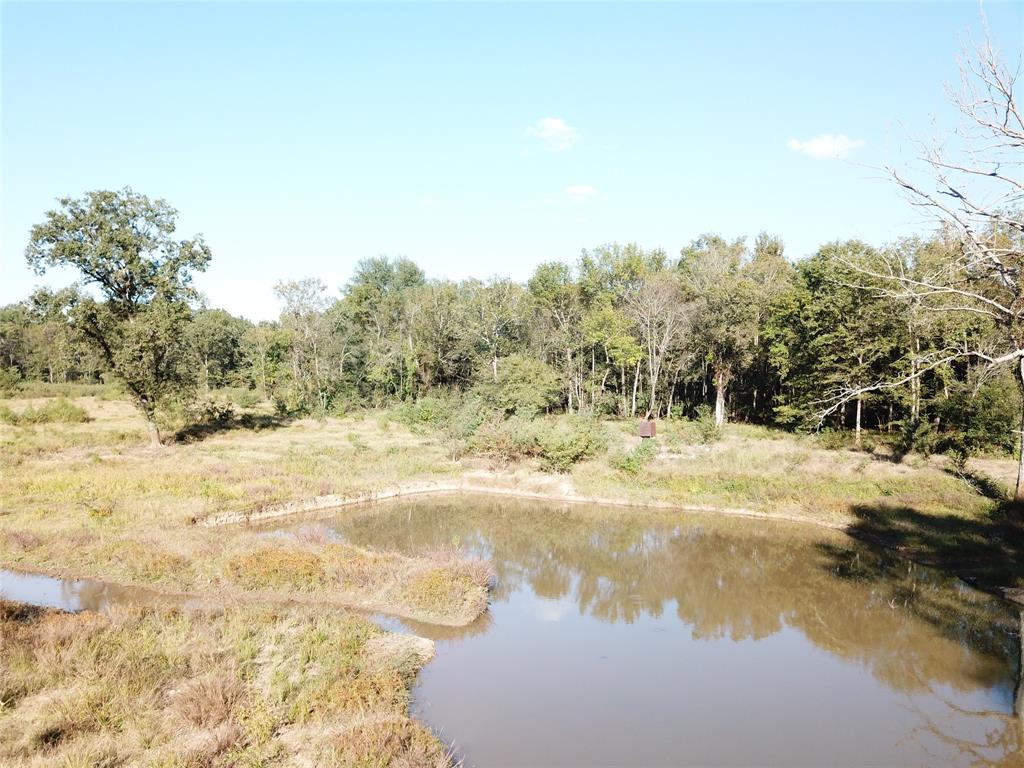 9795 Highway 59 Property Photo 39