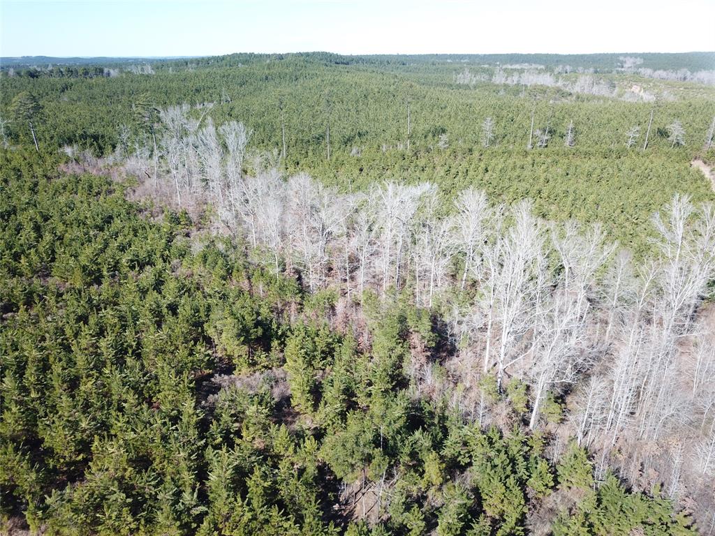 00 Off Hwy 517 Property Photo 2