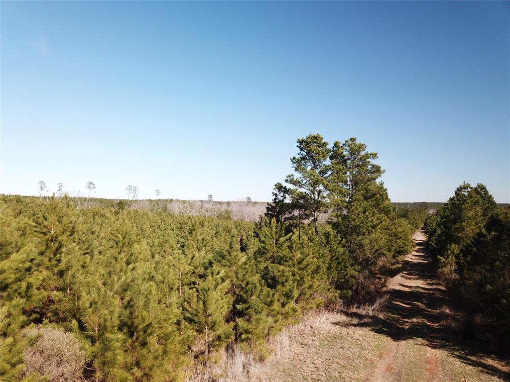00 Off Hwy 517 Property Photo 3