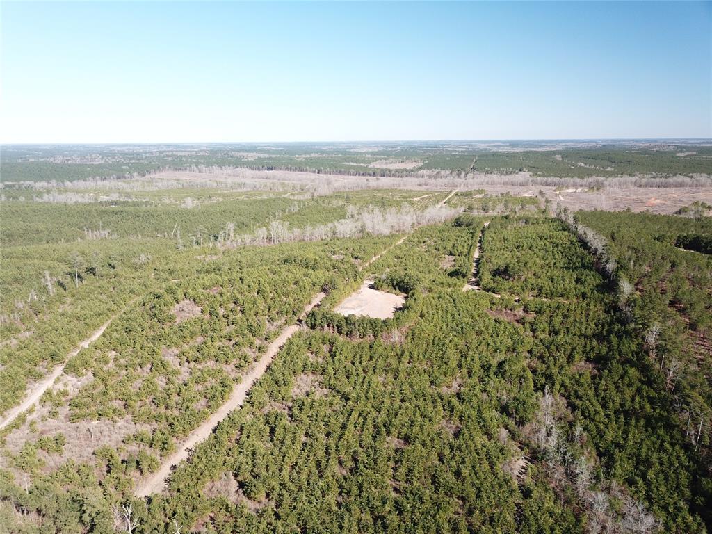 00 Off Hwy 517 Property Photo 5