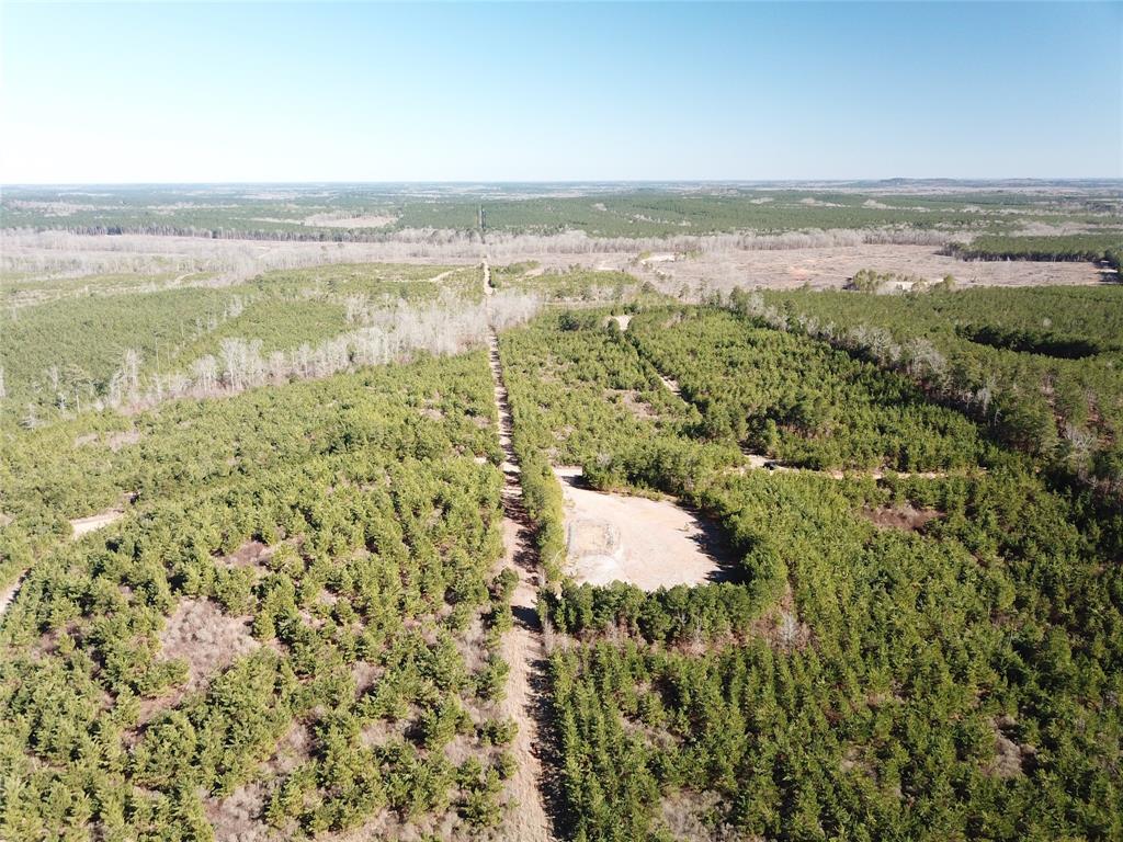 00 Off Hwy 517 Property Photo 6