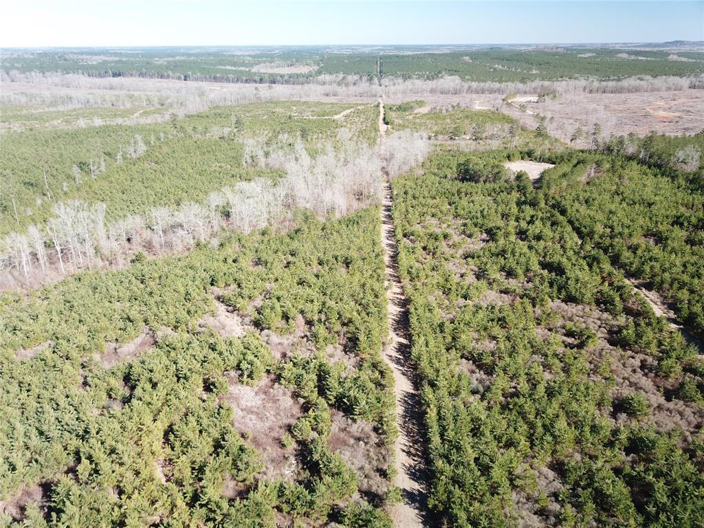 00 Off Hwy 517 Property Photo 7