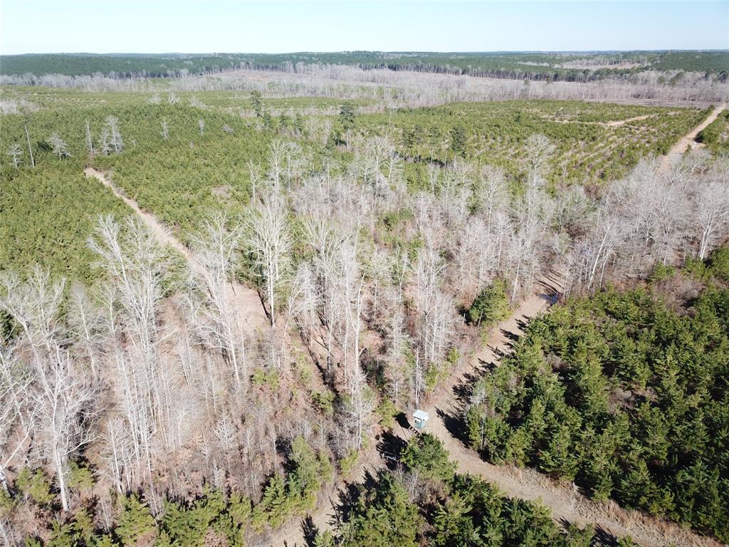 00 Off Hwy 517 Property Photo 9