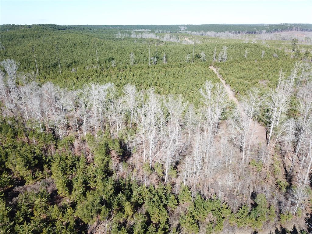 00 Off Hwy 517 Property Photo 10