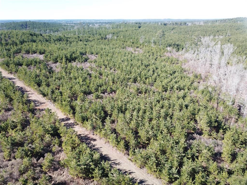 00 Off Hwy 517 Property Photo 11