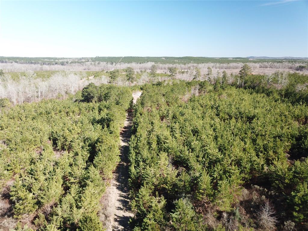 00 Off Hwy 517 Property Photo 12
