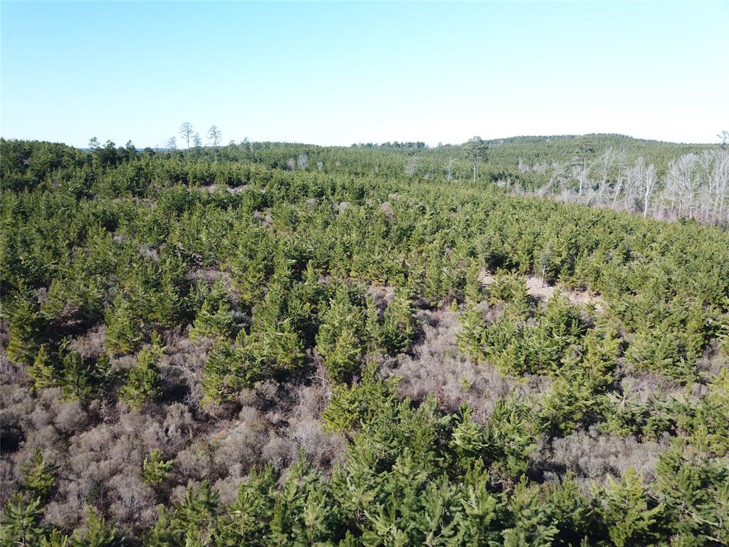 00 Off Hwy 517 Property Photo 13