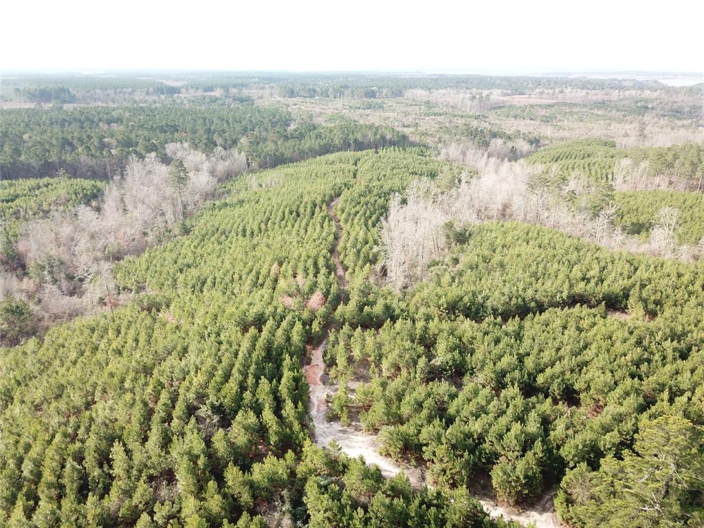 00 Off Mcmanus Road Property Photo 1