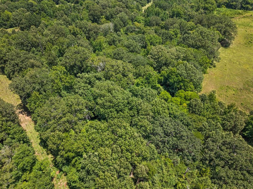 Tbd Interstate 30 Tr 3 Property Photo 12