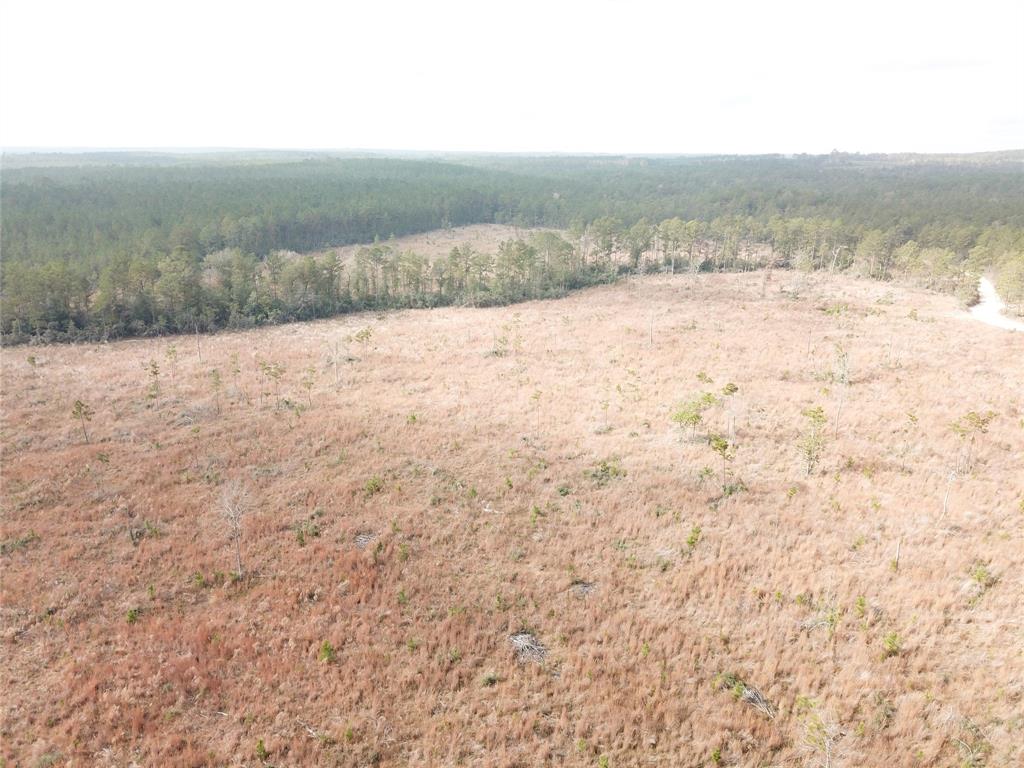 00 County Road 2845 Property Photo 8