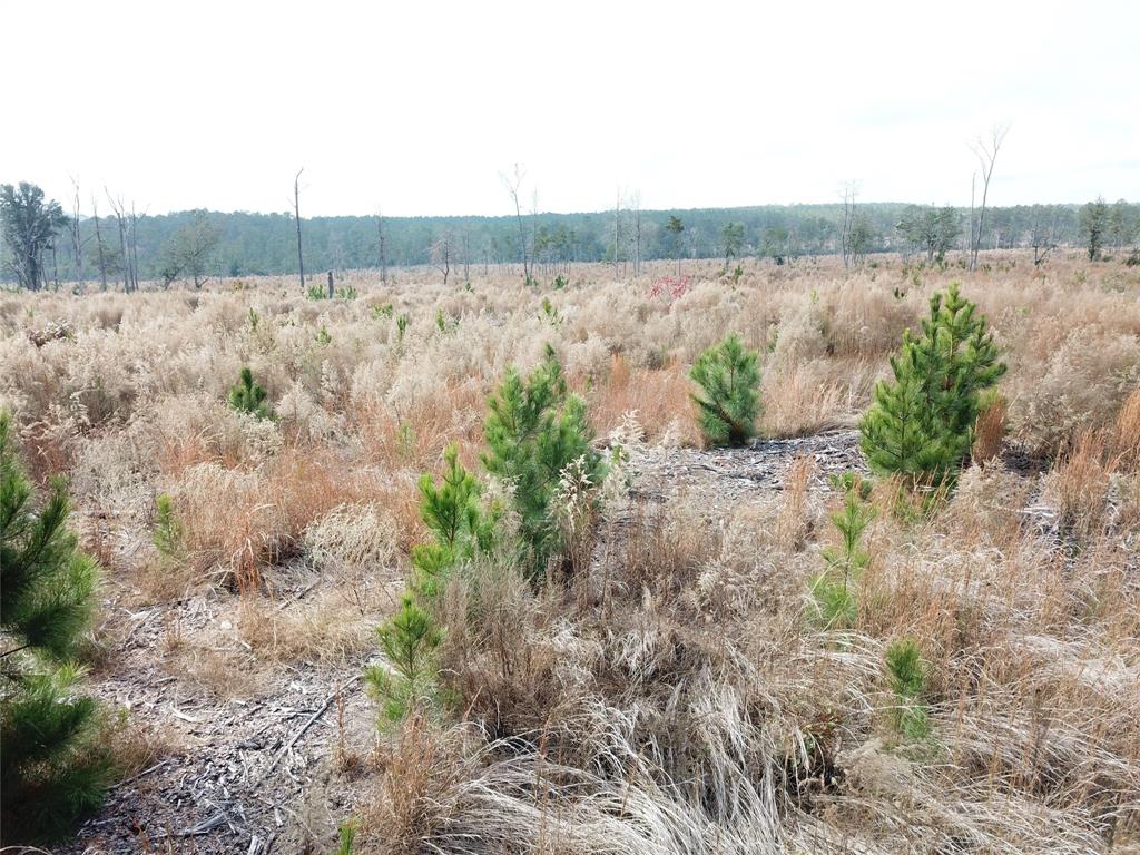 00 County Road 2845 Property Photo 10