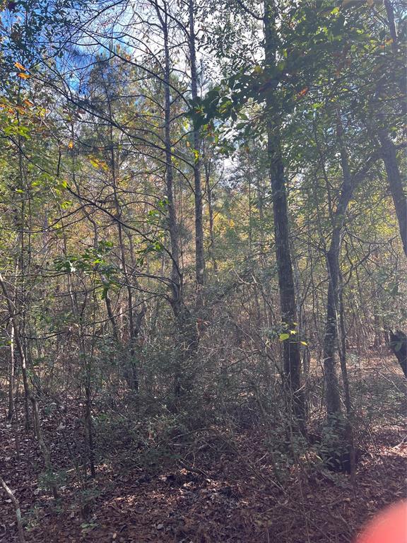 00 Gore Store Road Property Photo 2