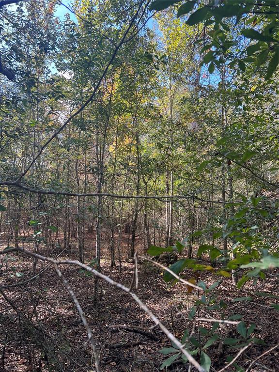 00 Gore Store Road Property Photo 3