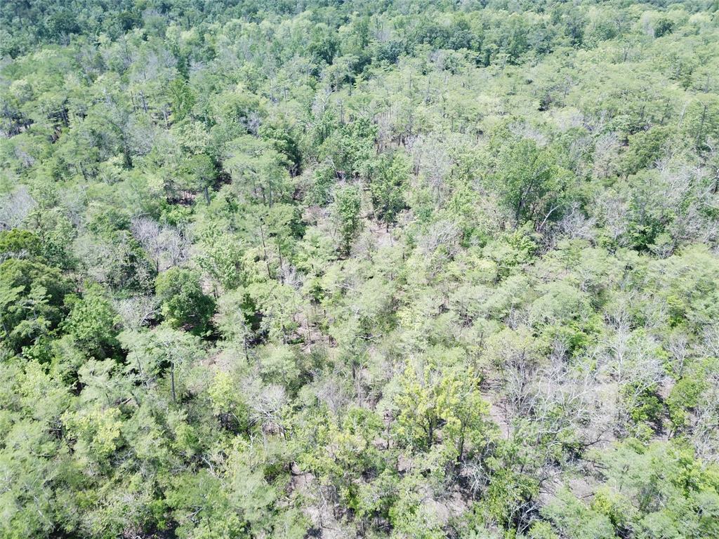 00 Indian Lake Road Property Photo 8