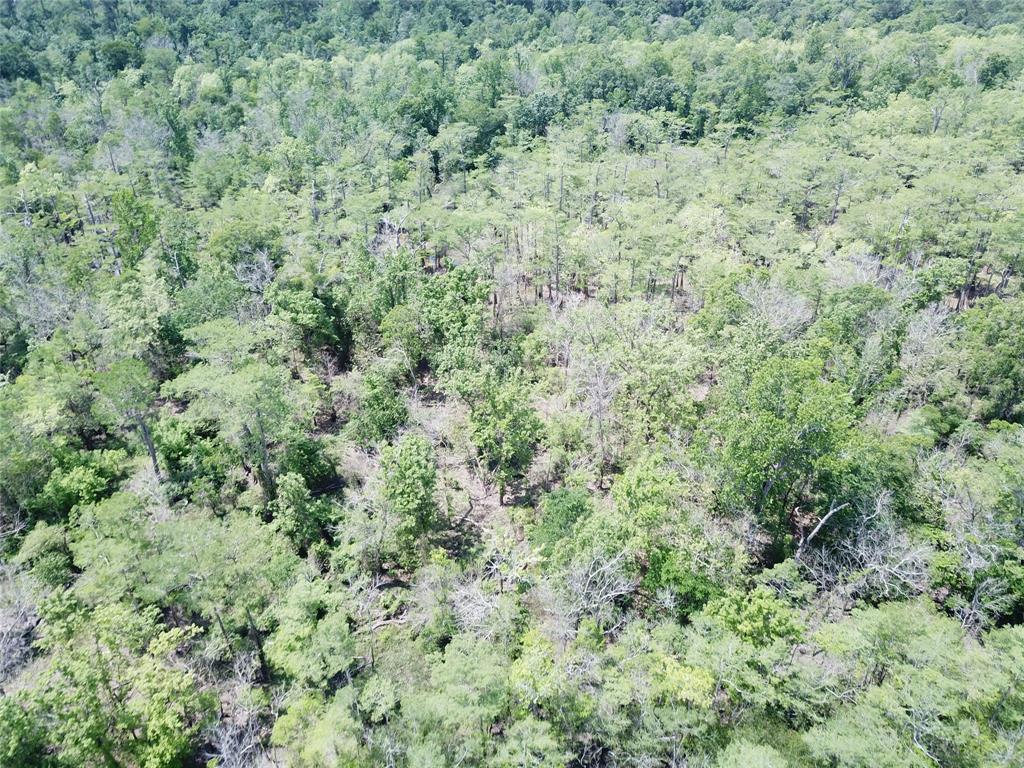 00 Indian Lake Road Property Photo 9
