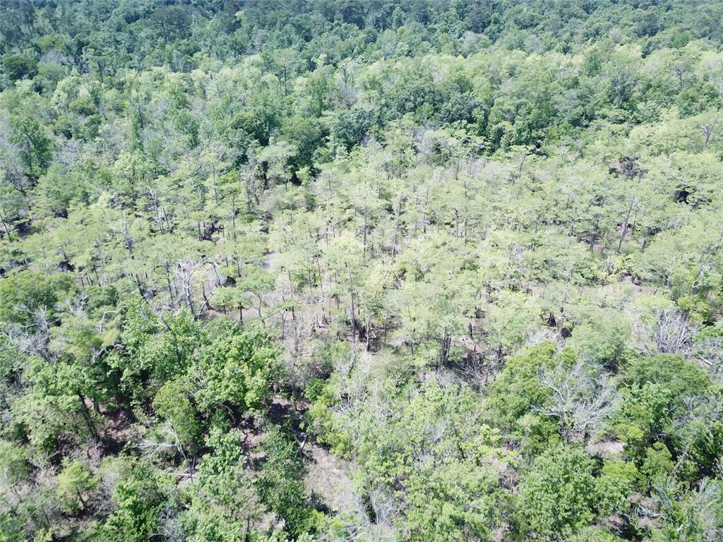 00 Indian Lake Road Property Photo 10
