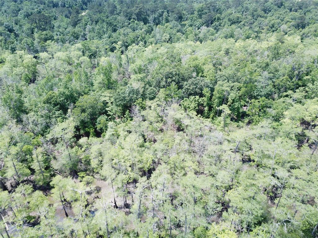 00 Indian Lake Road Property Photo 11