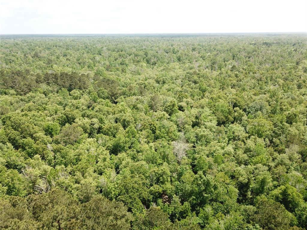 00 Indian Lake Road Property Photo 16