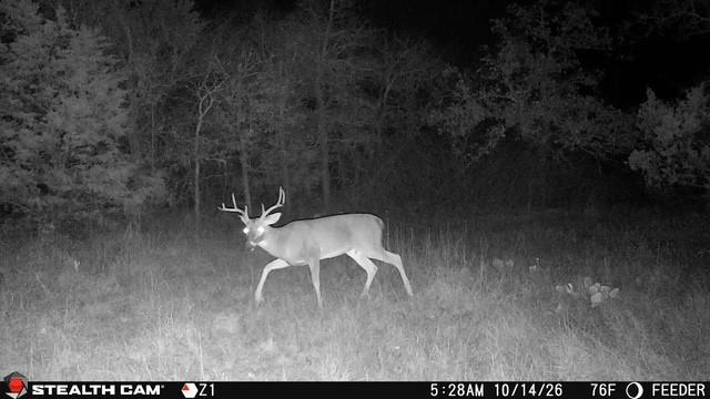 3594 Fm-8 Property Photo 13