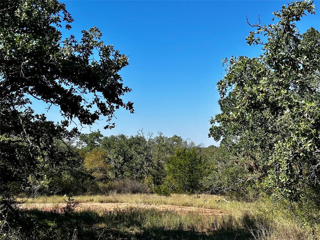 3594 Fm-8 Property Photo 16