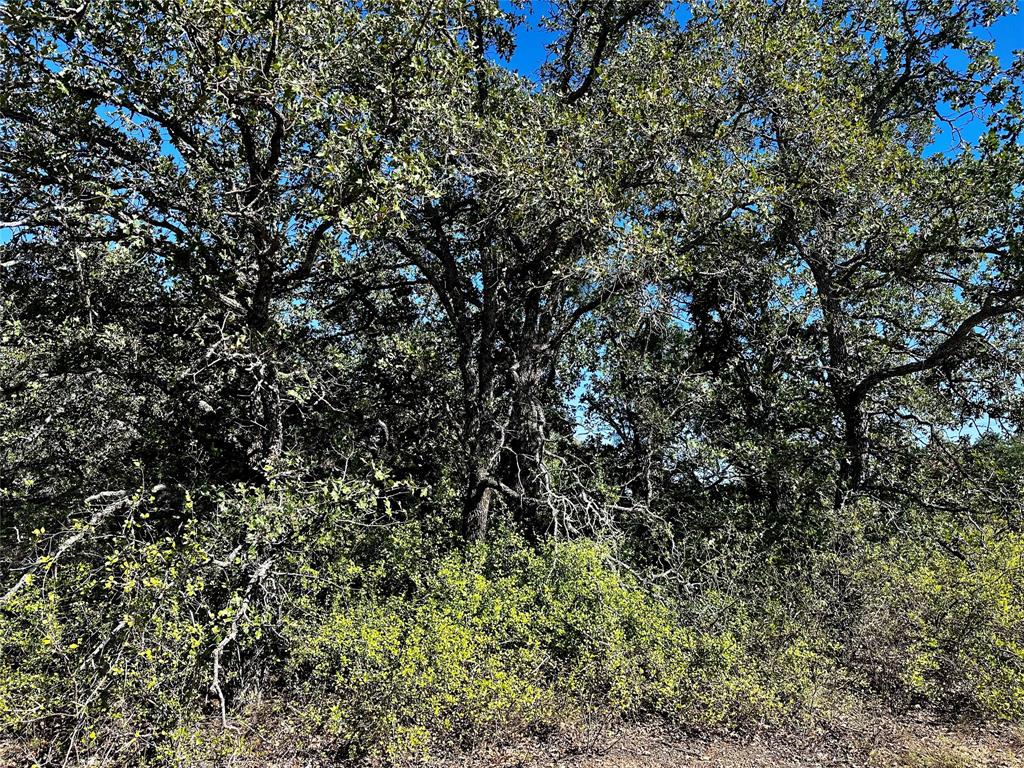3594 Fm-8 Property Photo 17