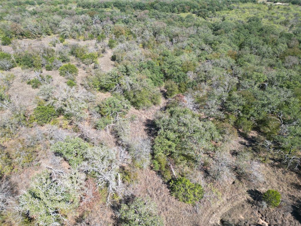 3594 Fm-8 Property Photo 22