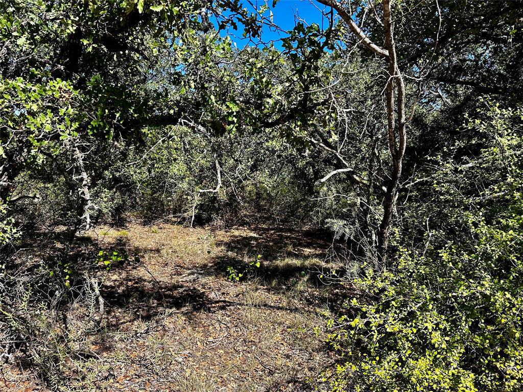 3594 Fm-8 Property Photo 25