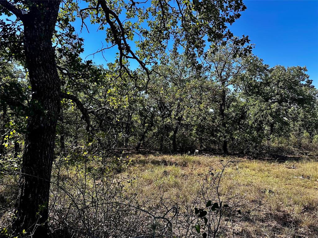 3594 Fm-8 Property Photo 33