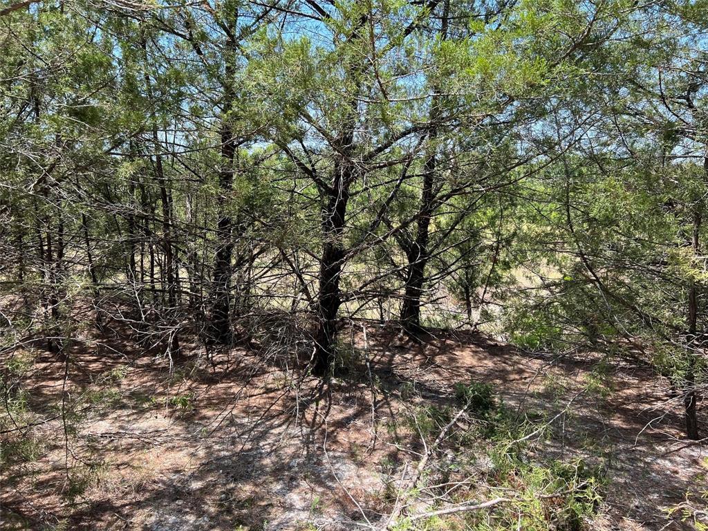 11ac Pilot Grove Road Property Photo 3
