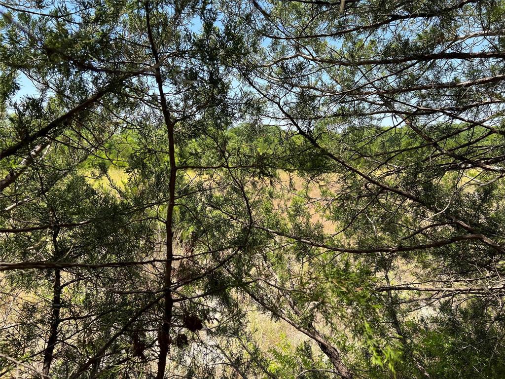 11ac Pilot Grove Road Property Photo 4