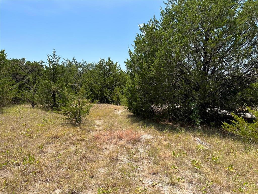 11ac Pilot Grove Road Property Photo 5