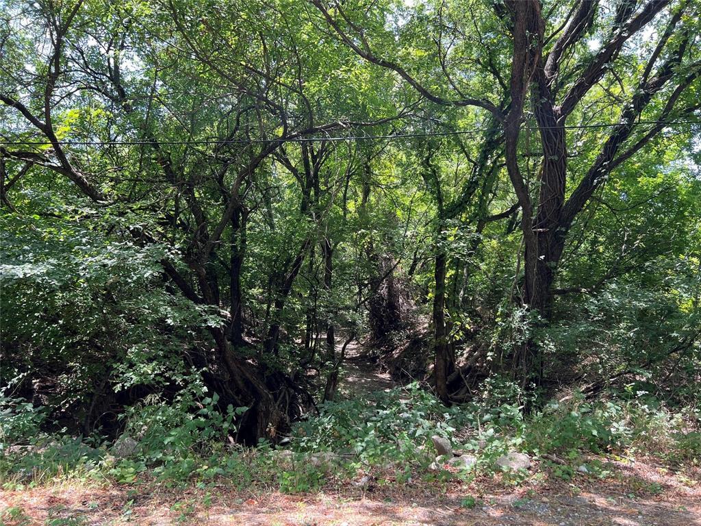 11ac Pilot Grove Road Property Photo 6