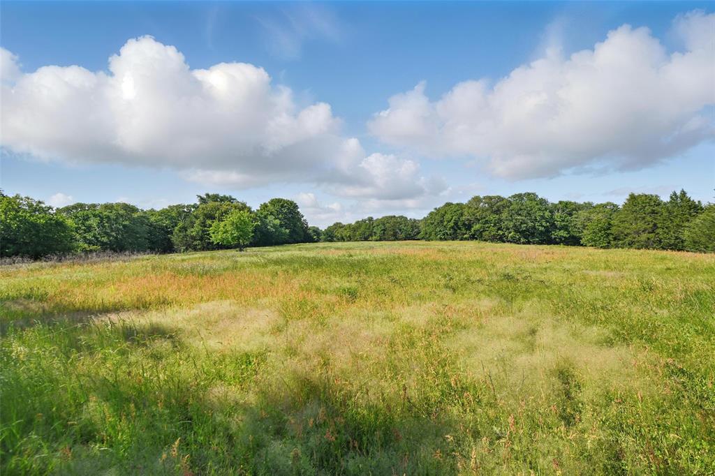 91 Acres County Road 189 Property Photo 1