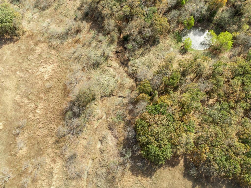 Tbd County Road 3368 Property Photo 5