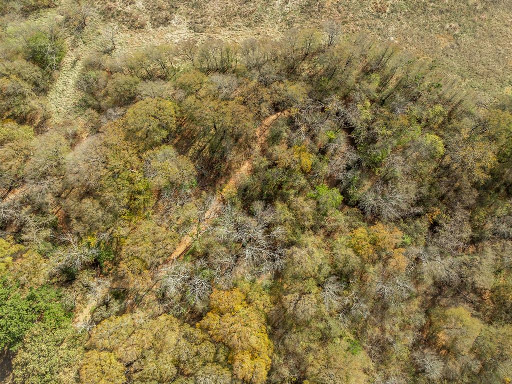 Tbd County Road 3368 Property Photo 6