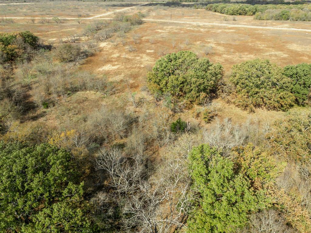 Tbd County Road 3368 Property Photo 9
