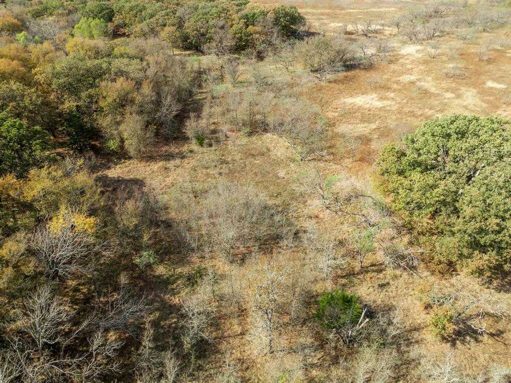 Tbd County Road 3368 Property Photo 10