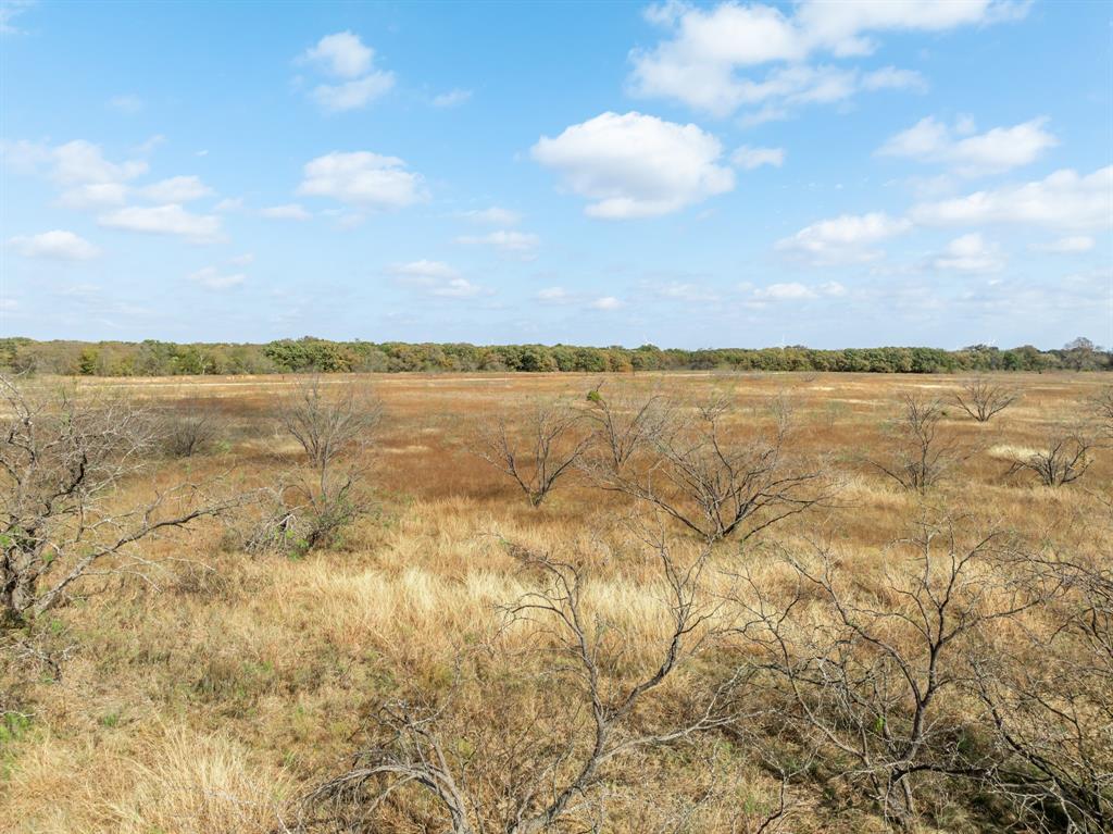 Tbd County Road 3368 Property Photo 15