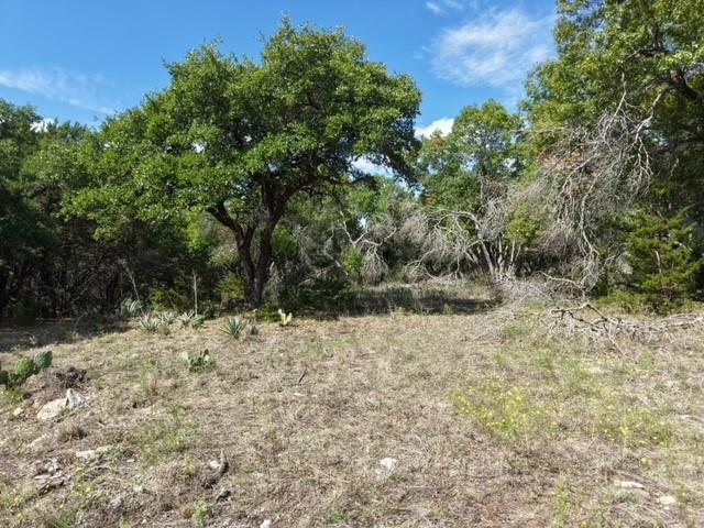 3931 County Road 101 Property Photo 2