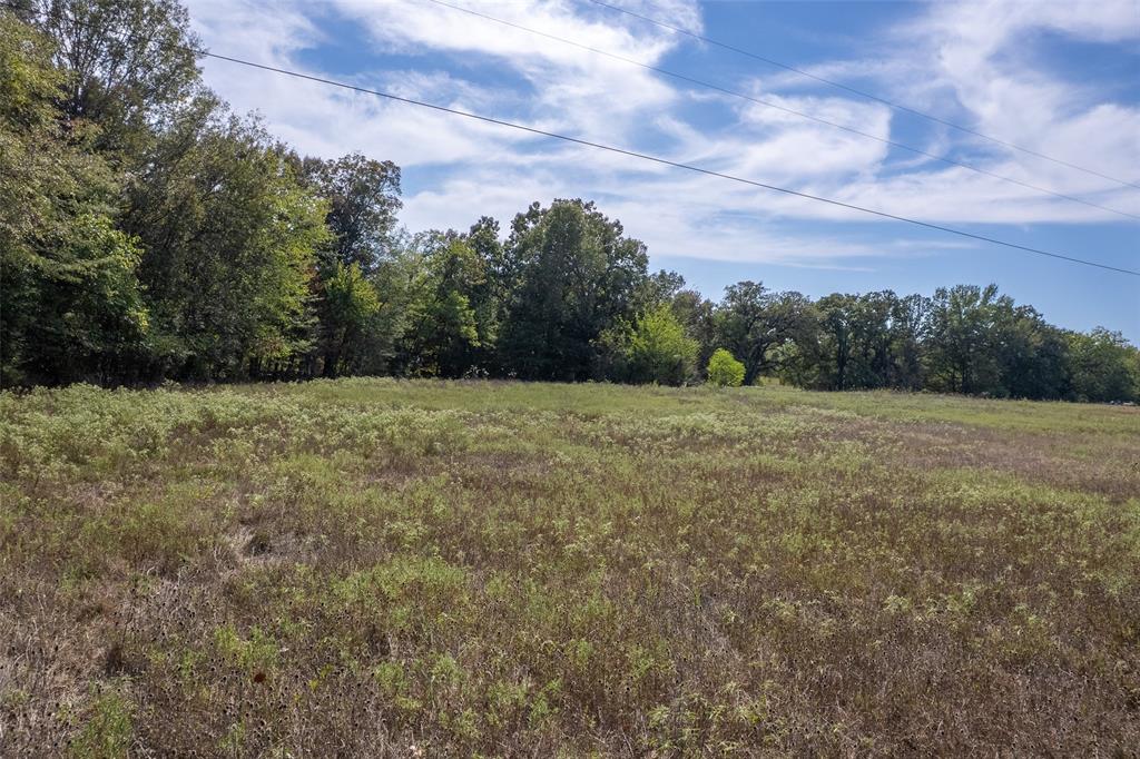 Tbd Ne Cr 2060 Property Photo 7