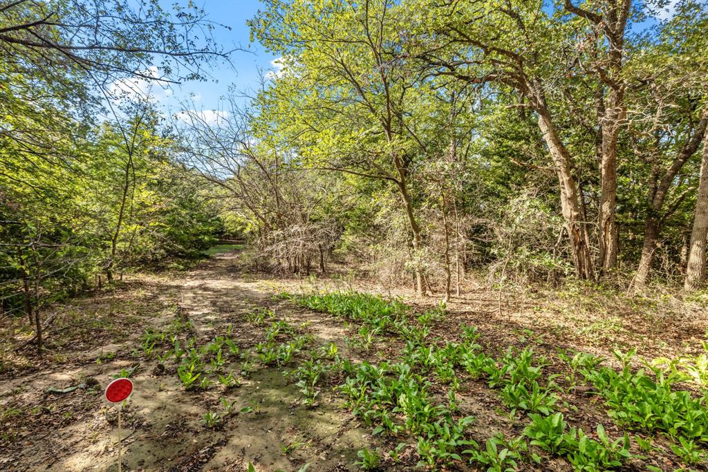 1540 Neely Trail Property Photo 31