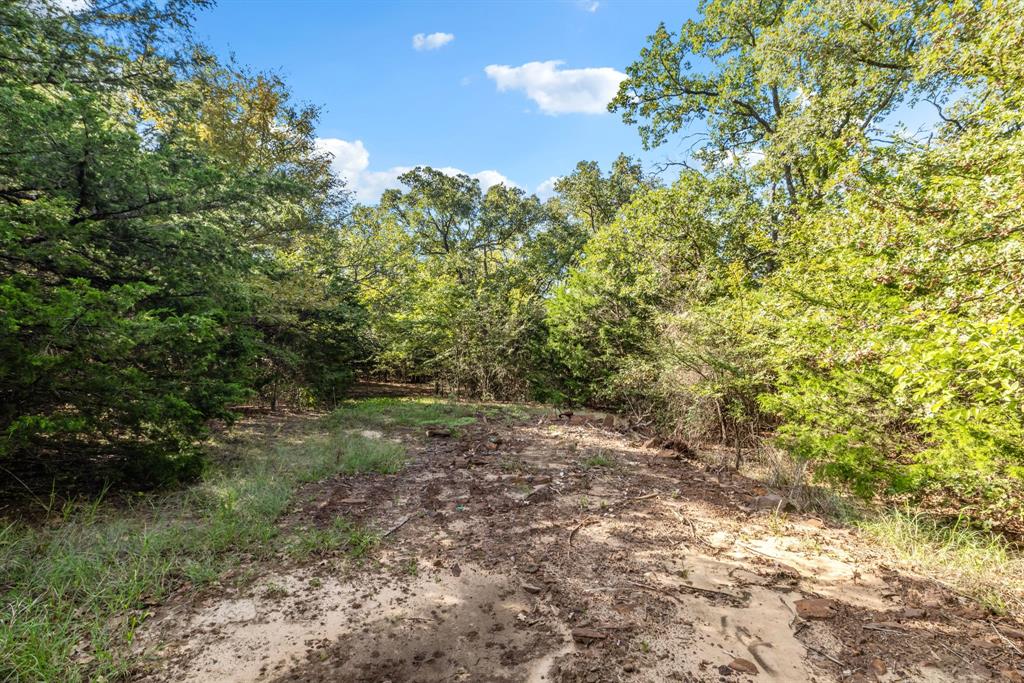 1540 Neely Trail Property Photo 32