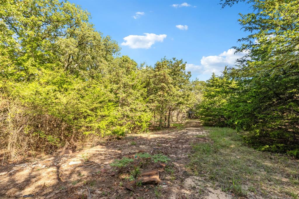 1540 Neely Trail Property Photo 33