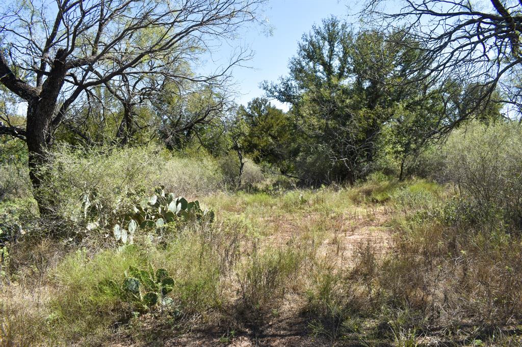 2035 Cr 448 Property Photo 6