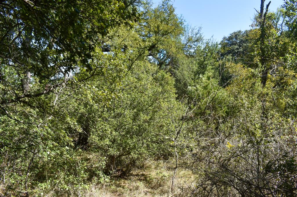 2035 Cr 448 Property Photo 15
