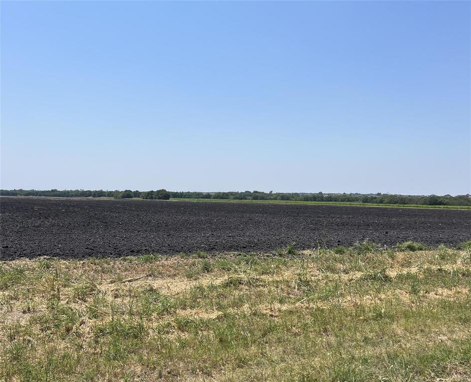 Tbd County Road 596 Property Photo 2