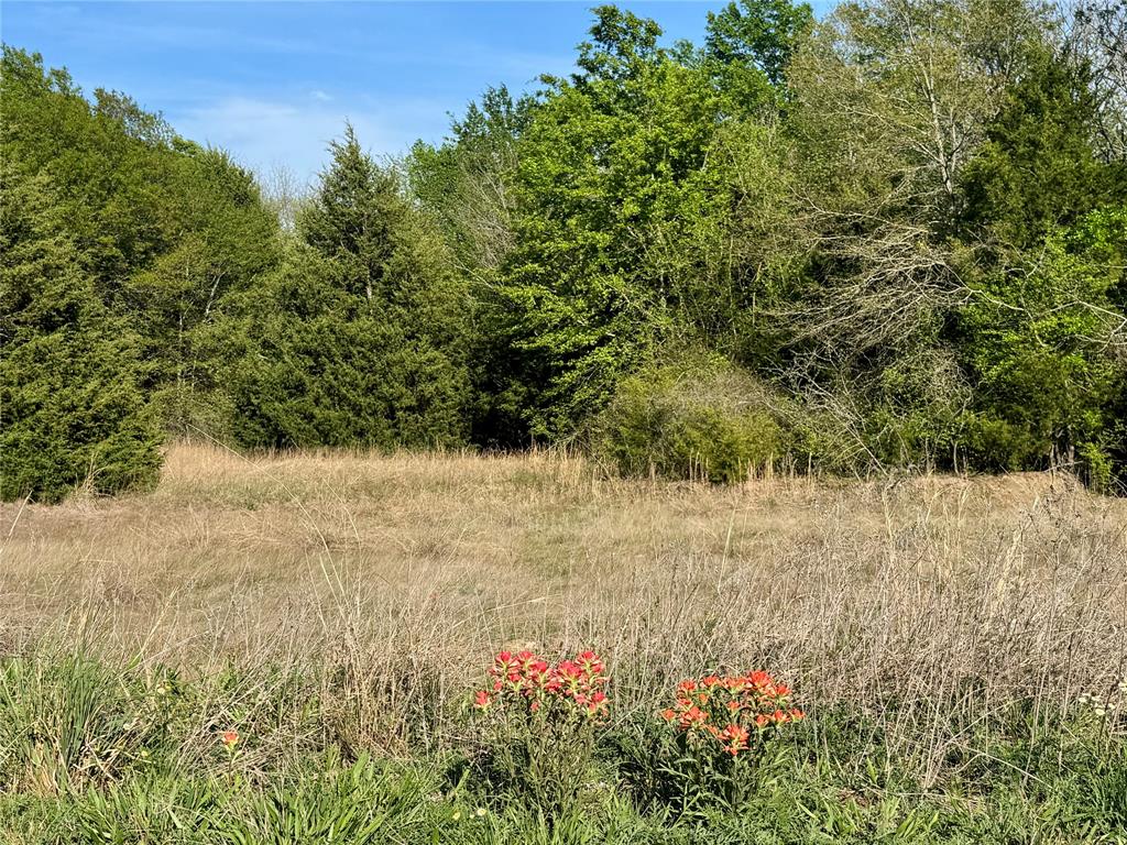 2377 Fm 36 Property Photo 15