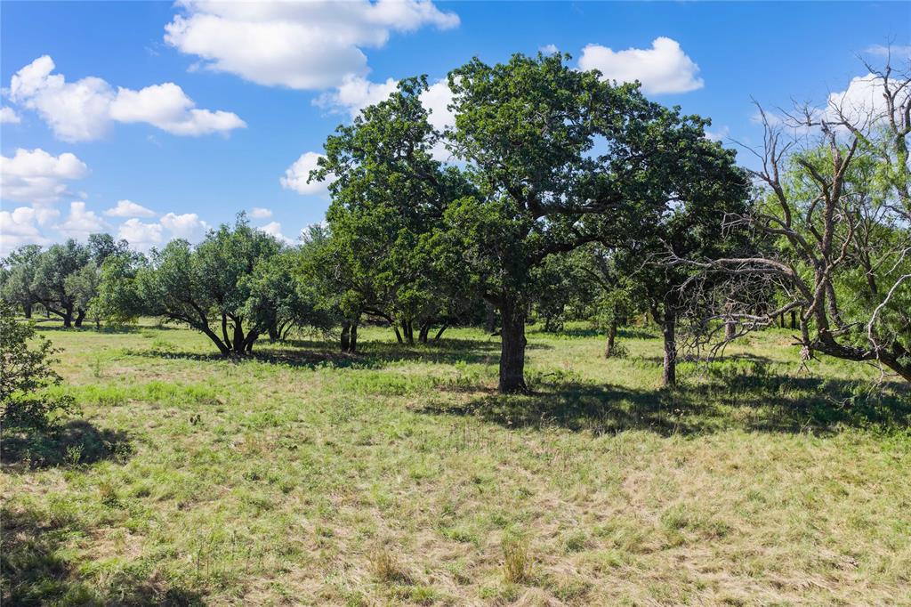 Tbd County Road 309 Property Photo 2